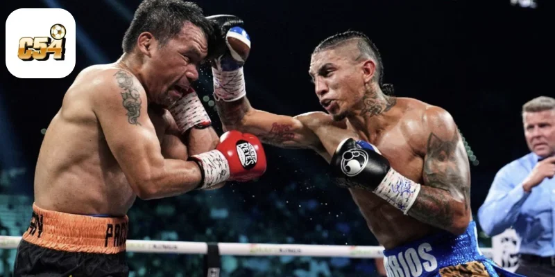 Cá Cược Boxing Online Tại C54 – Đối Kháng Đầy Kịch Tính