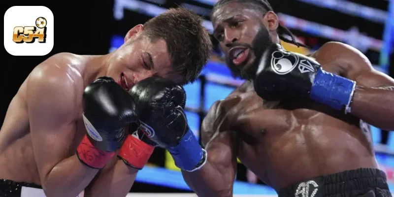 Boxing Online Là Gì? Các Loại Kèo Phổ Biến Trong Boxing