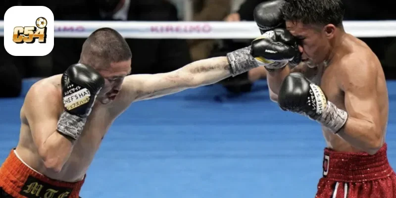 Phân Tích Võ Sĩ Để Đặt Cược Boxing Hiệu Quả Tại C54