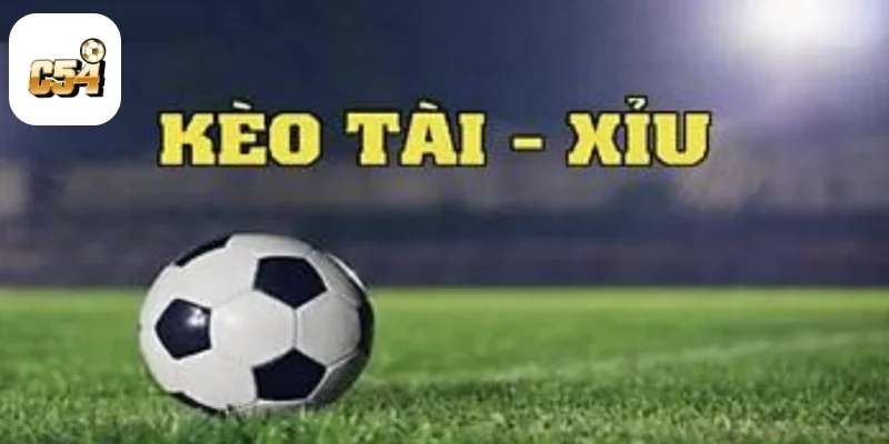 Cách Đọc Tài Xỉu 3.5: Phân Tích Và Chiến Lược Đặt Cược