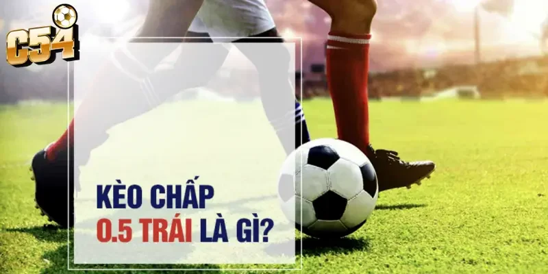Tổng quan về kèo chấp 0.5 trái C54 dành cho người mới