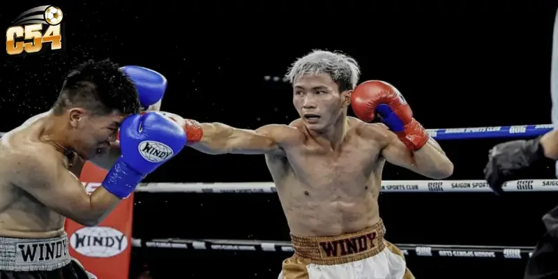 Kinh nghiệm phân tích kèo boxing WBA chuẩn xác từ chuyên gia C54